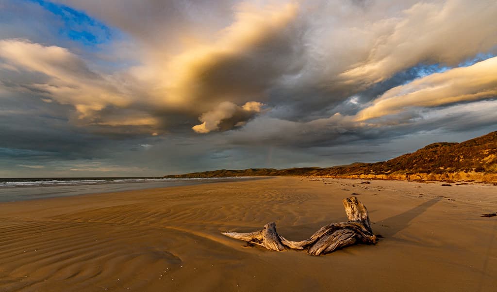 Bakers Beach, Tasmania.