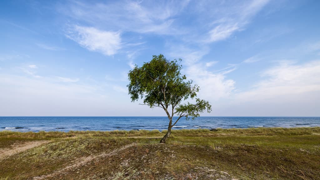 Friseboda Beach — photo by Ulf Bodin