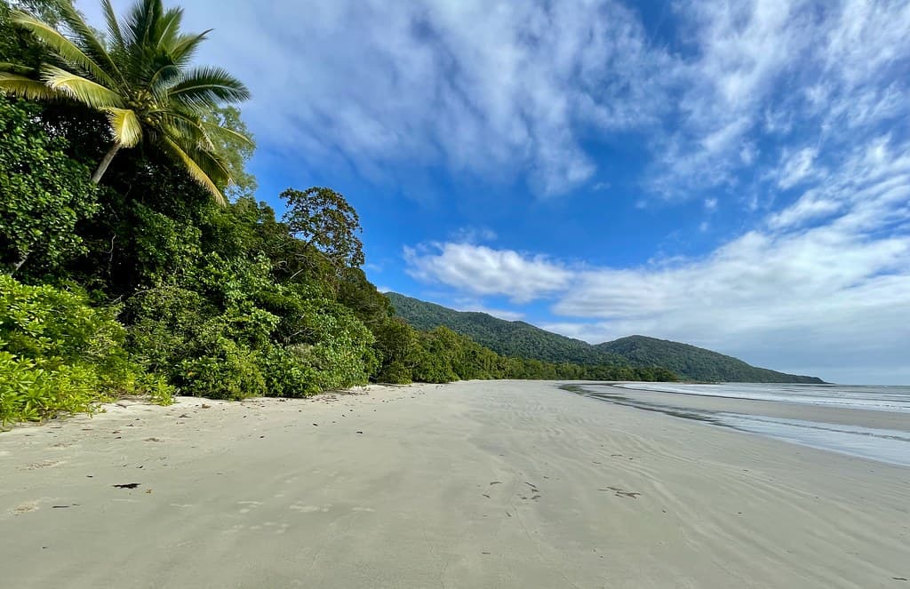 Cape Tribulation Beach