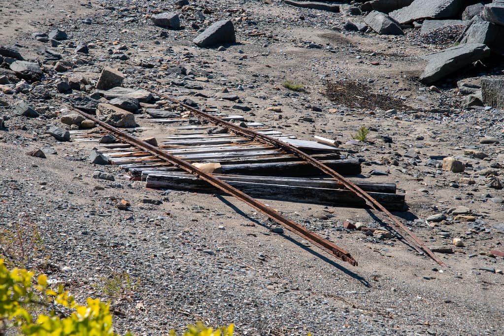 2022-09-14 Gallops Island - DCR - site visit (181)