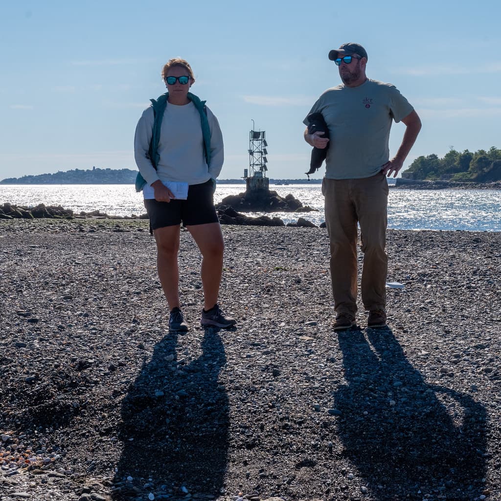 2022-09-14 Gallops Island - DCR - site visit (147)