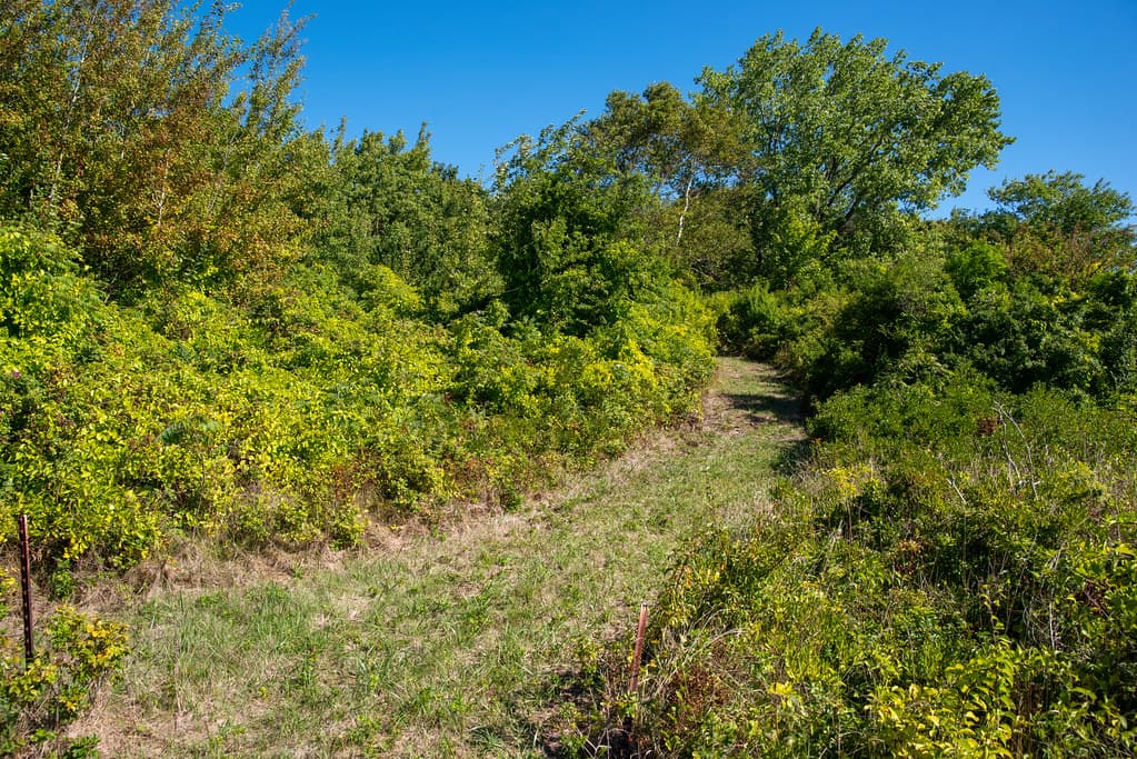 2022-09-14 Gallops Island - DCR - site visit (177)