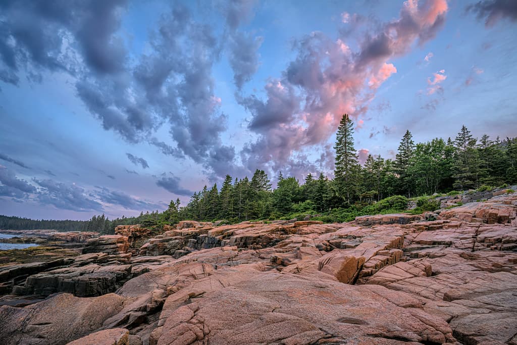 Cove Island Park Beach