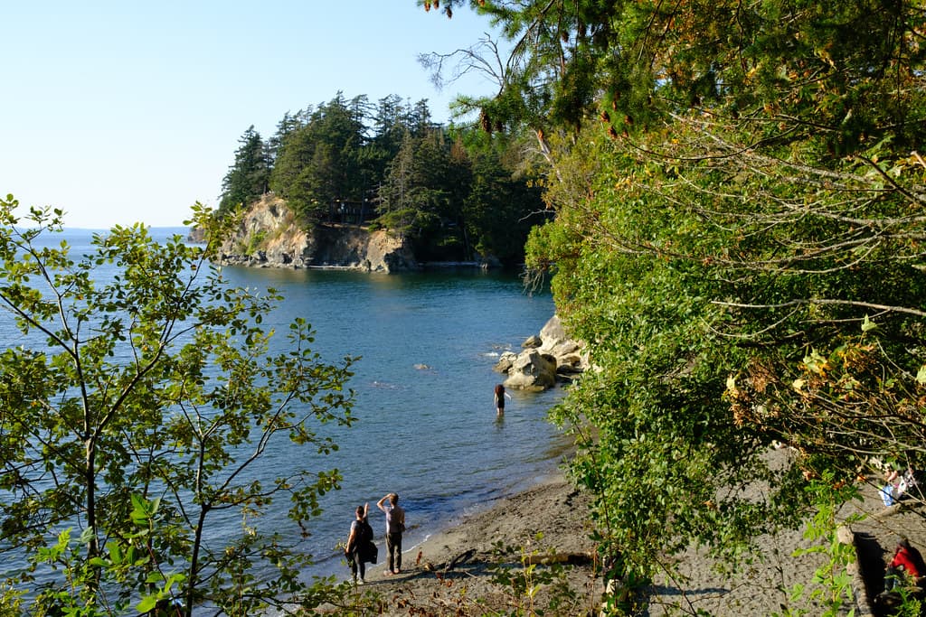 Wildcat Cove Beach view 2