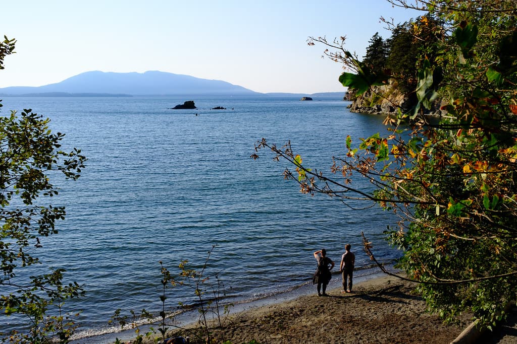 Wildcat Cove Beach view 3