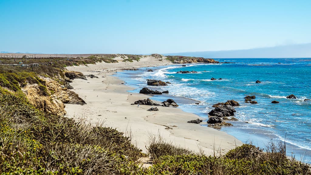 Pacific Coast Highway 20 - Elephant Seal Vista Point