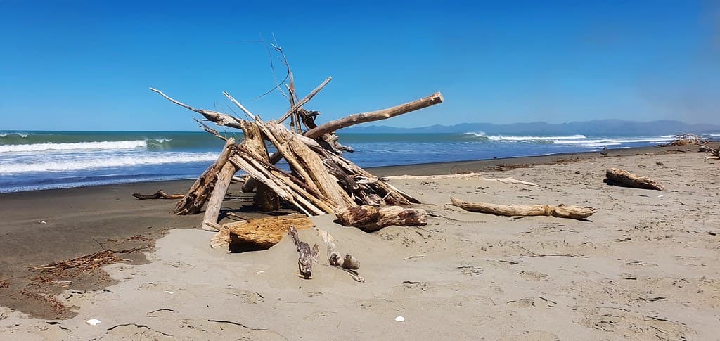 Waikuku Beach — photo by Bernard Spragg