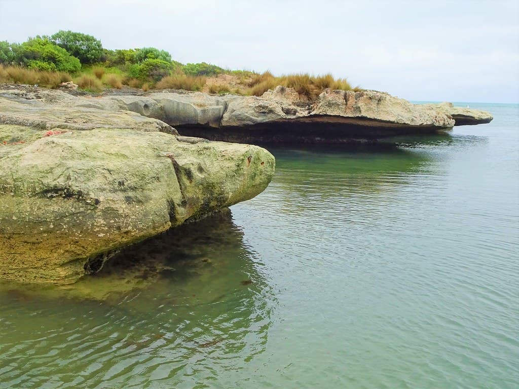 Blackfellow Caves. A small coastal town near Carpenter Rocks Sth Australia. Ocean eroded limestone caves under cutting the land.