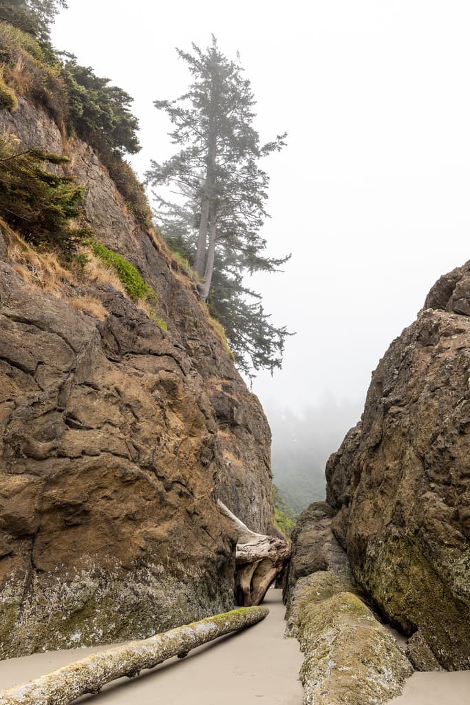 Cape Disappointment State Park Beach