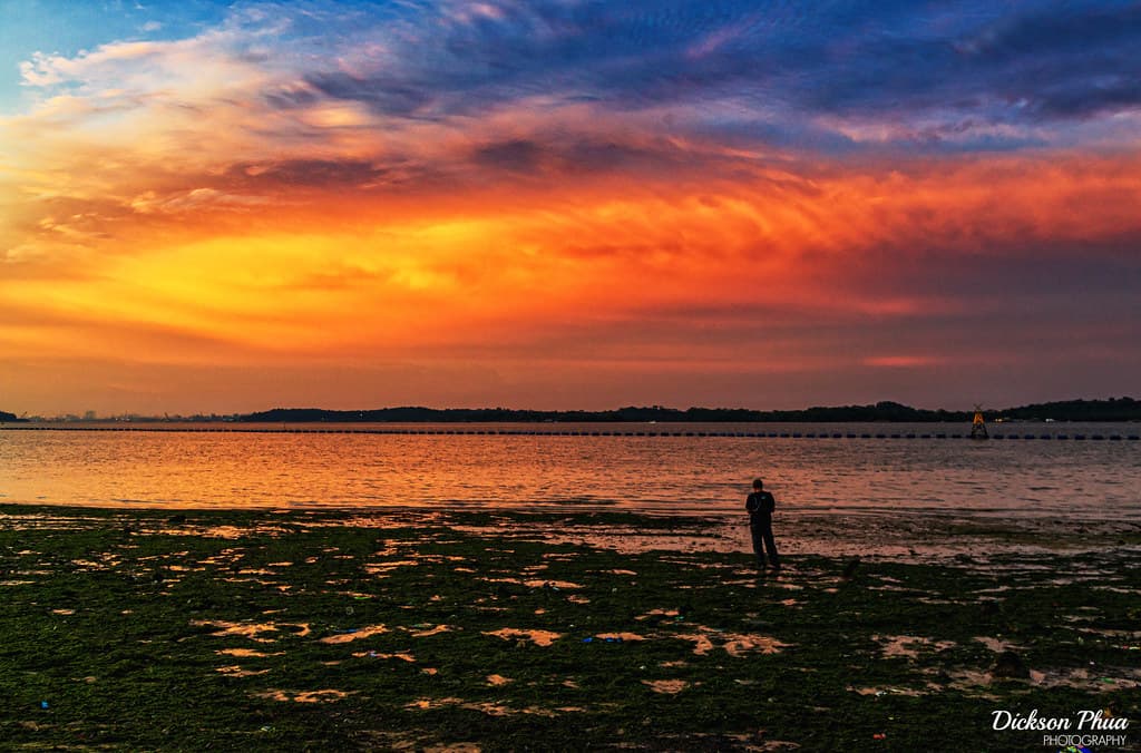 The intertidal zone of Pasir Ris Park at dusk