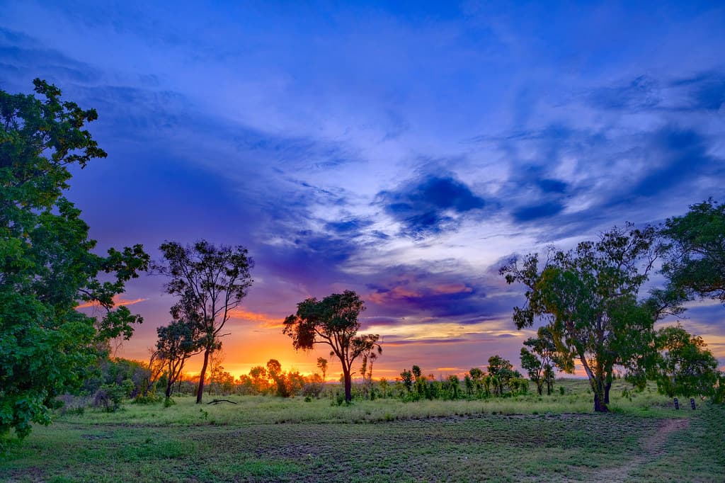 Sunset on the Casuarina Beach track - Darwin Harbour, NT, Australia - 26 November 2022