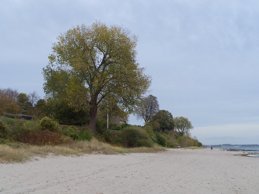 Pelzerhaken South Beach — photo by Torben*