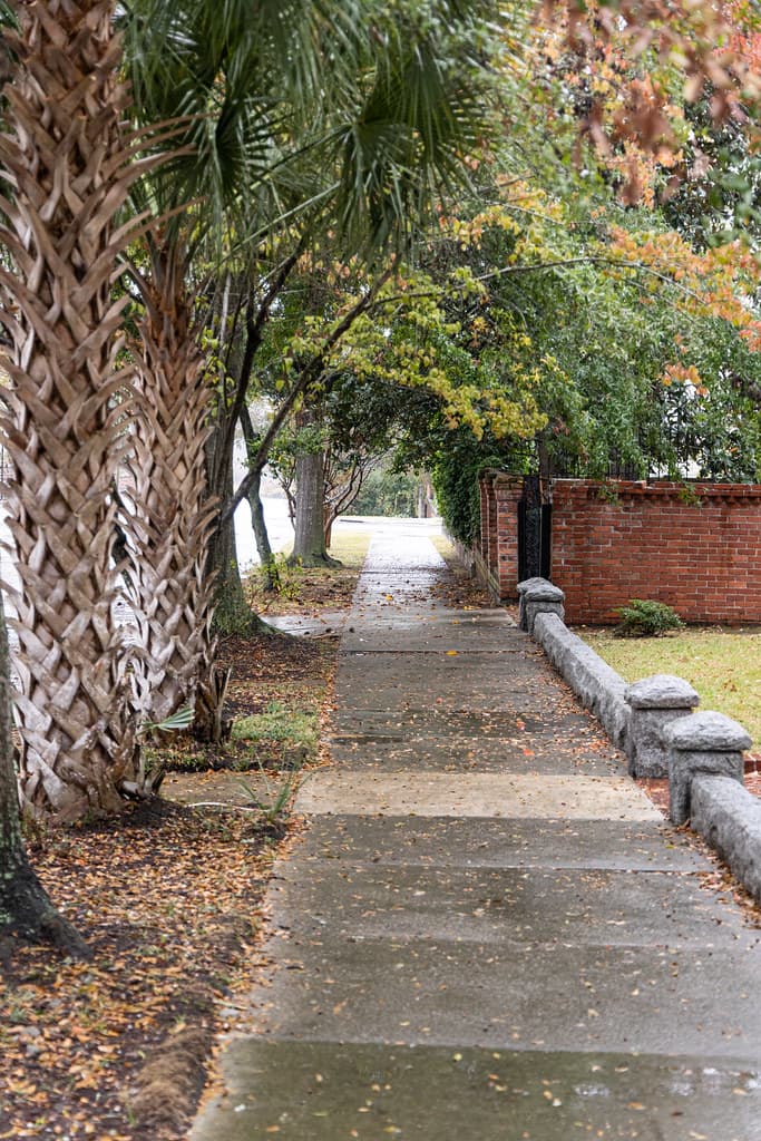 Nun Street Sidewalk, Wilmington, North Carolina, United States