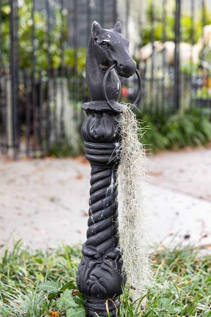 Horse Hitching Post, North 6th Street, Wilmington, North Carolina, United States