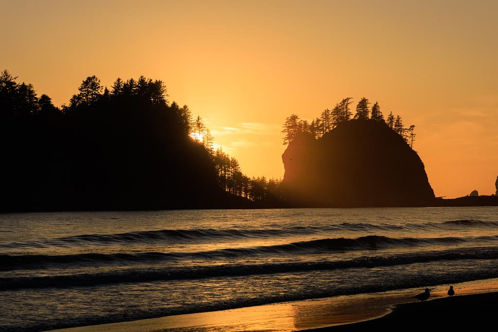 First Beach