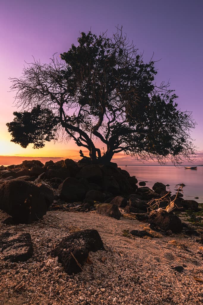 Grand Baie Public Beach — photo by orkomedix