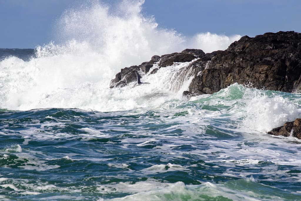 Waves crashing at South Beach, Vancouver Island, BC