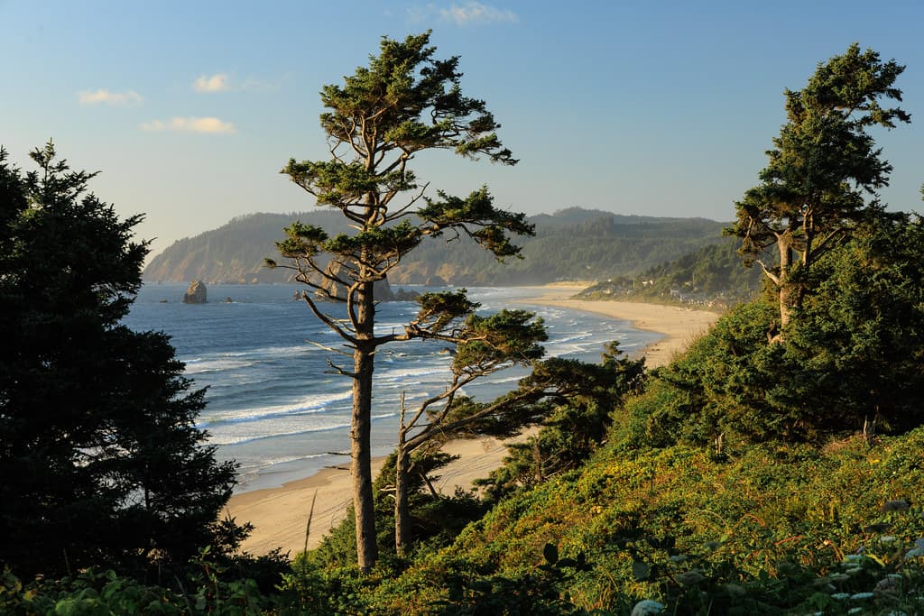 Pacific Coast Majesty
