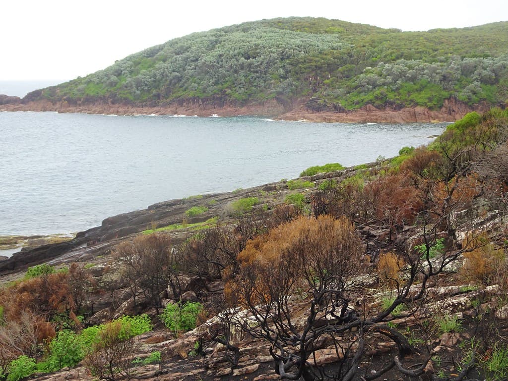 Fingal Bay near Nelson Bay. Burnt out scrub at Barry Park Lookout.