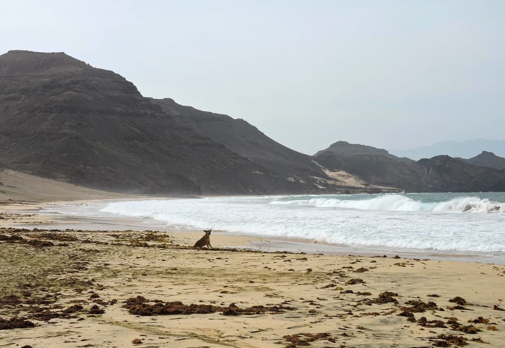 Praia do Norte — photo by drew.murray