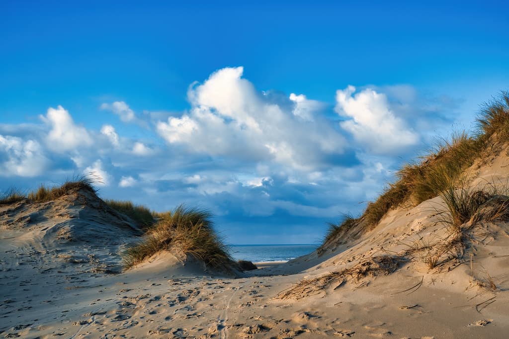Midsland aan Zee