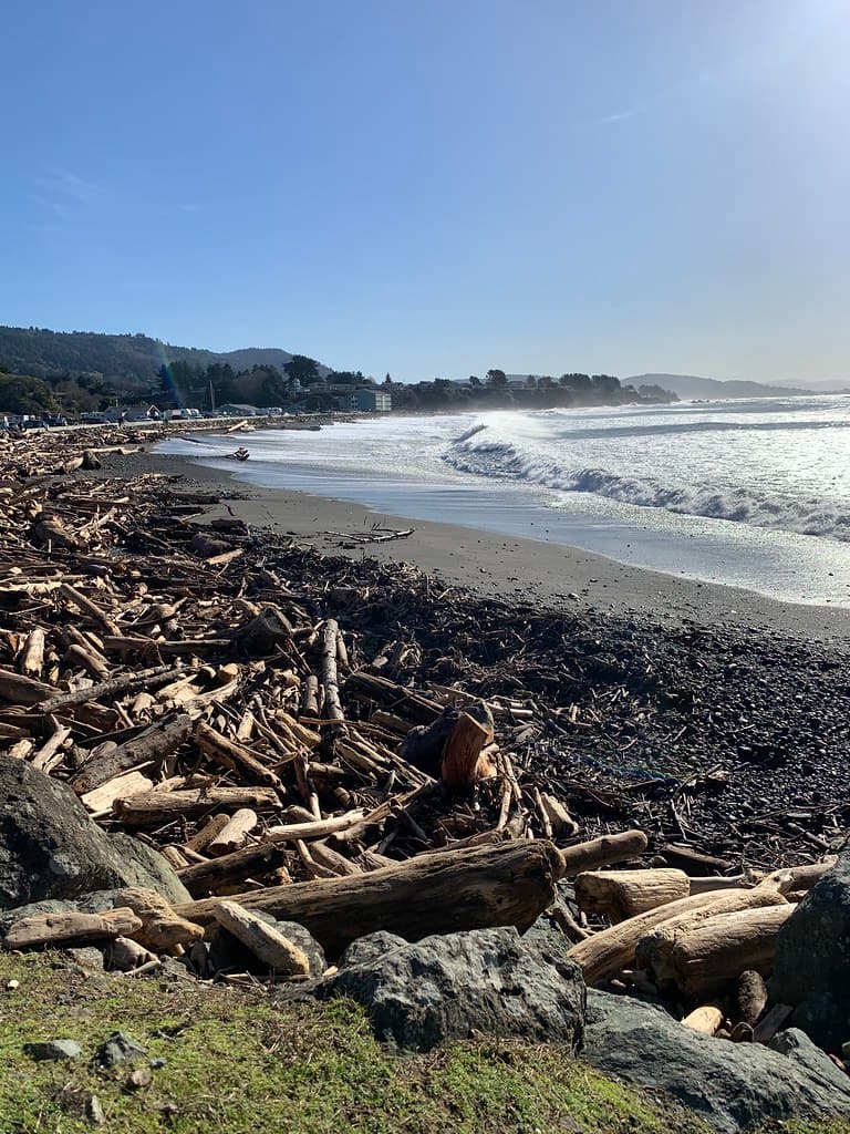 Sporthaven Beach Brookings, Oregon, South Jetty, looking south.