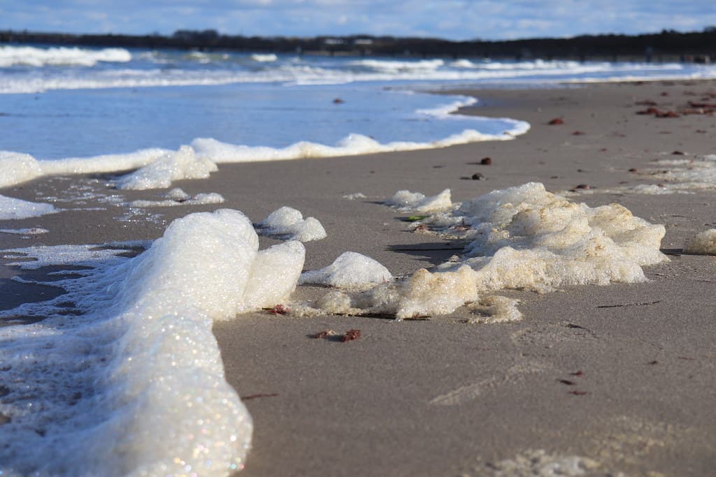 Wohlenberger Wiek Beach — photo by noluck