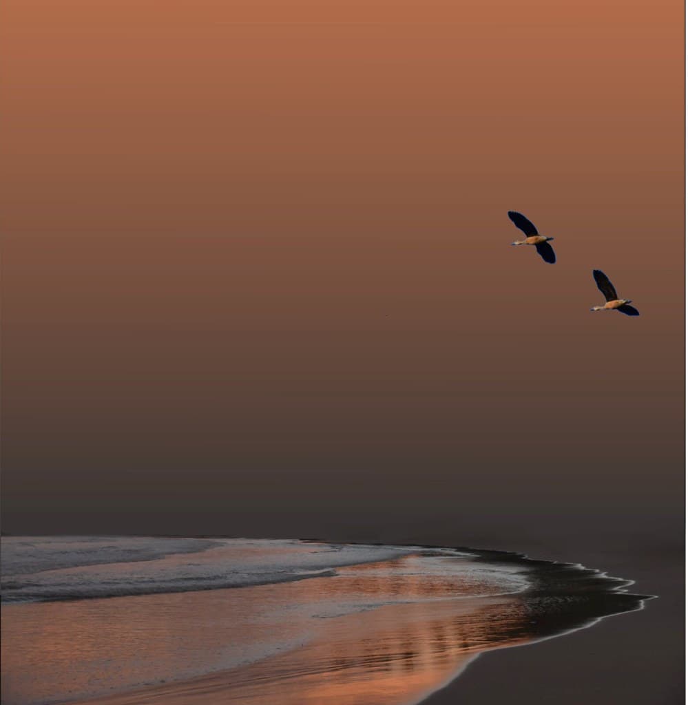 Shore Line