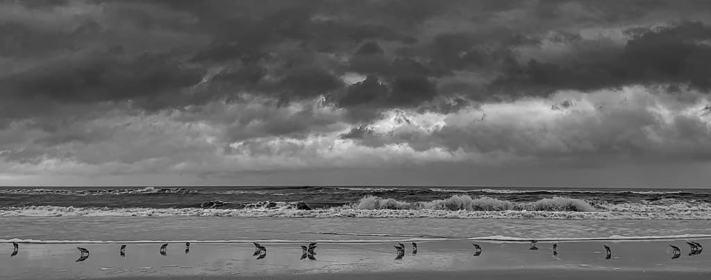 Jacksonville Beach view 3
