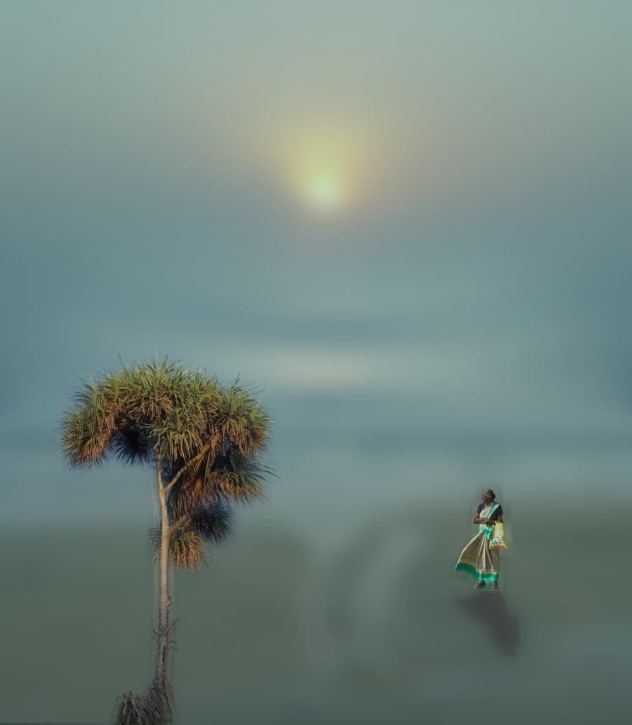 The Lady and the Mangrove