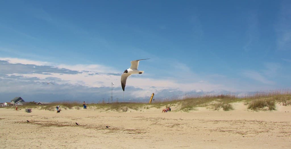 Yaupon Beach