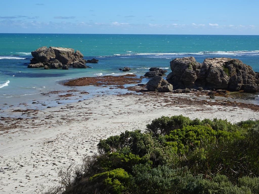 Cape Banks near Carpenter Rocks.  Behind these rocky limestones cliffs is Cape Banks lighthouse. Named by Flinders. French Captain Baudin in 1802 named it Charpentier.