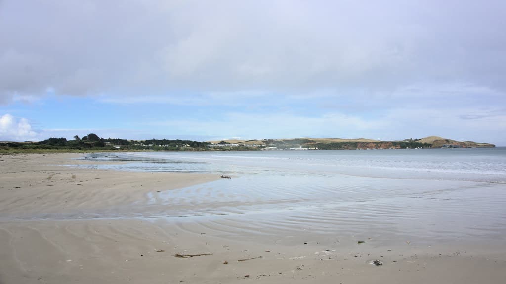 Waitangi Bay Beach