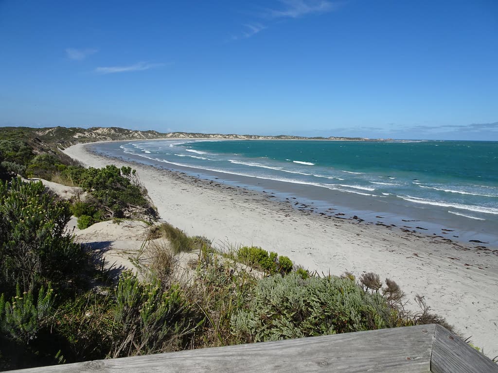 Cape Banks. Looking south towards  Carpenter Rocks South Australia..
