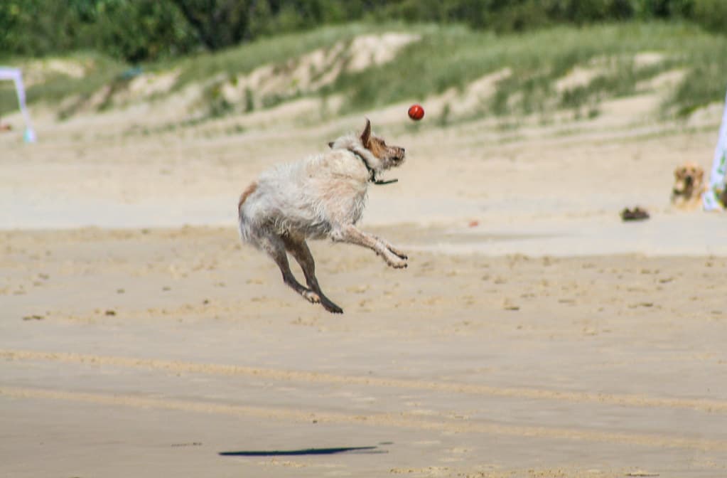 Kingscliff Beach