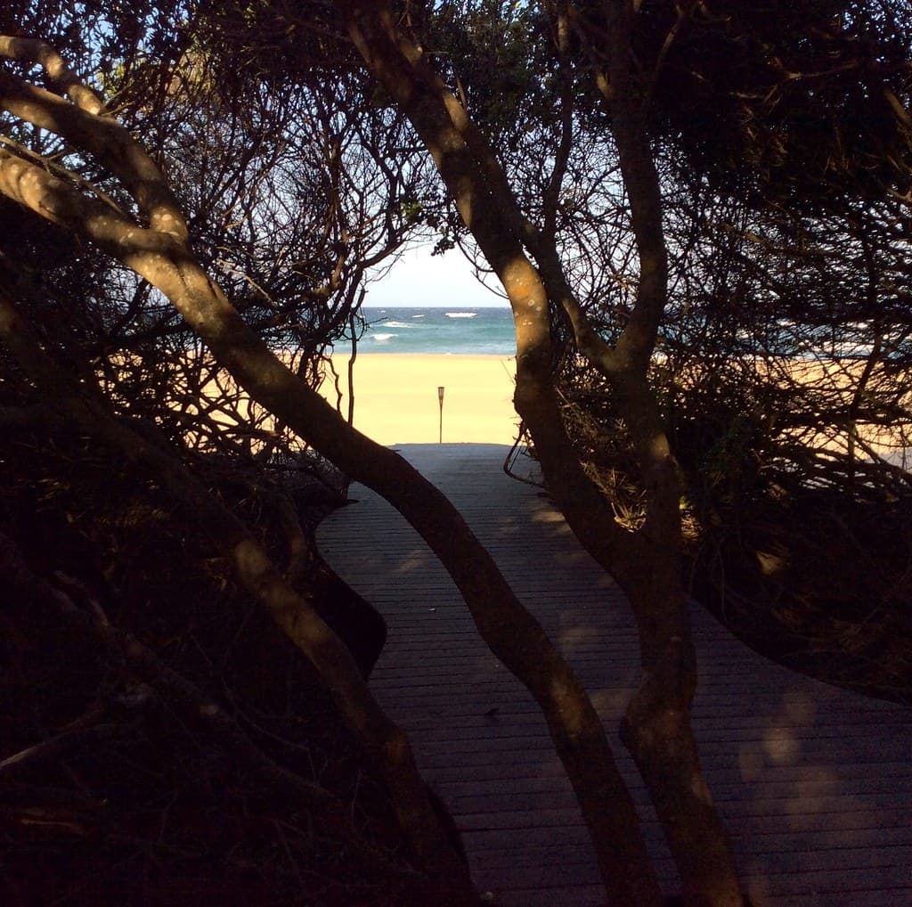 Ponta Chemucane Beach — photo by Transfrontier Conservation Areas Southern Africa