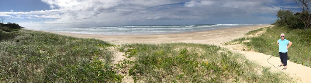 Roaming northwards to Brisbane