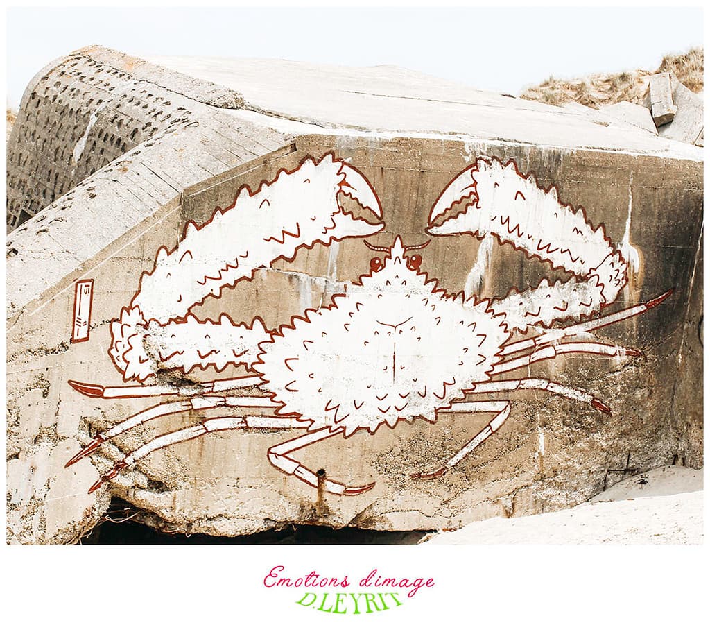 Bunker d'Hardelot_graffiti crabe