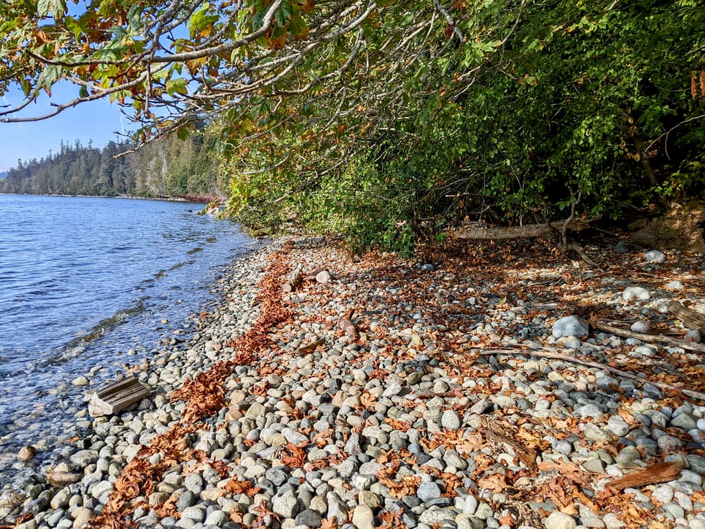 Willingdon Beach — photo by PunkToad