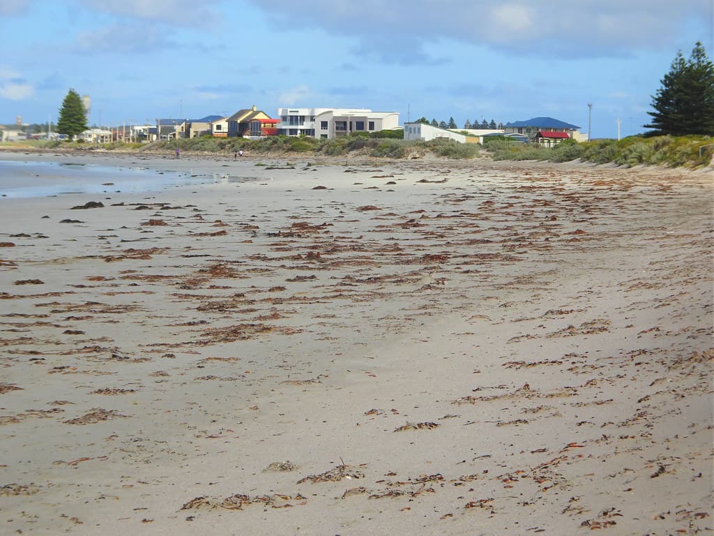 Port MacDonnell. Houses on the esplanade. A major rock lobster fishing fleet is based here.