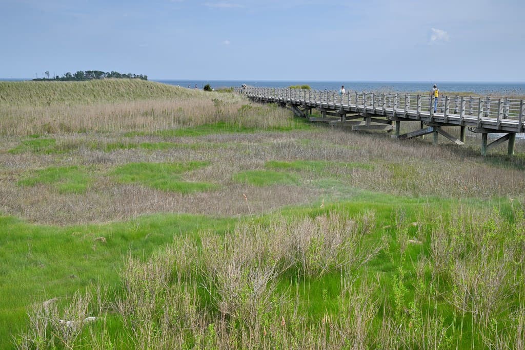 Silver Sands State Park (2023)