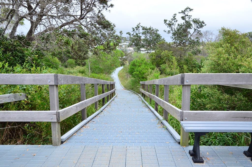 pathway