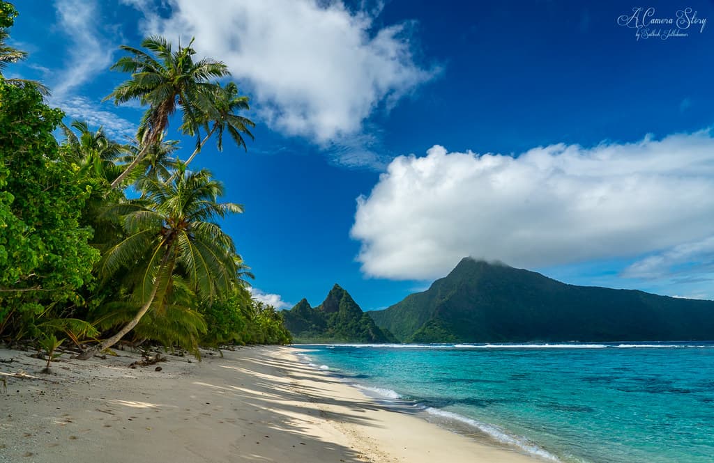 The Beach
