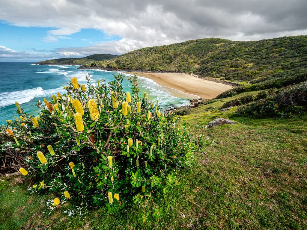O'Connors Beach