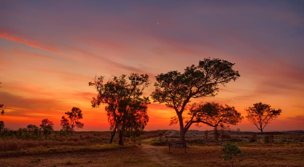 Twilight over the Casuarina Beach Track, Darwin Harbour, NT, Australia - 21 June 2023
