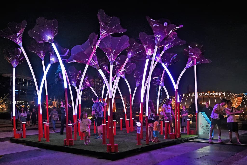 Trumpet Flowers