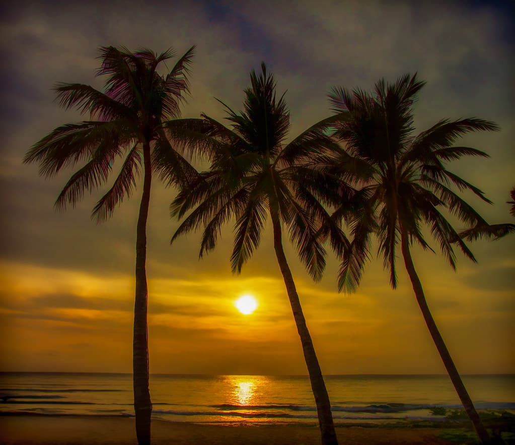 Coconut Island Beach view 3