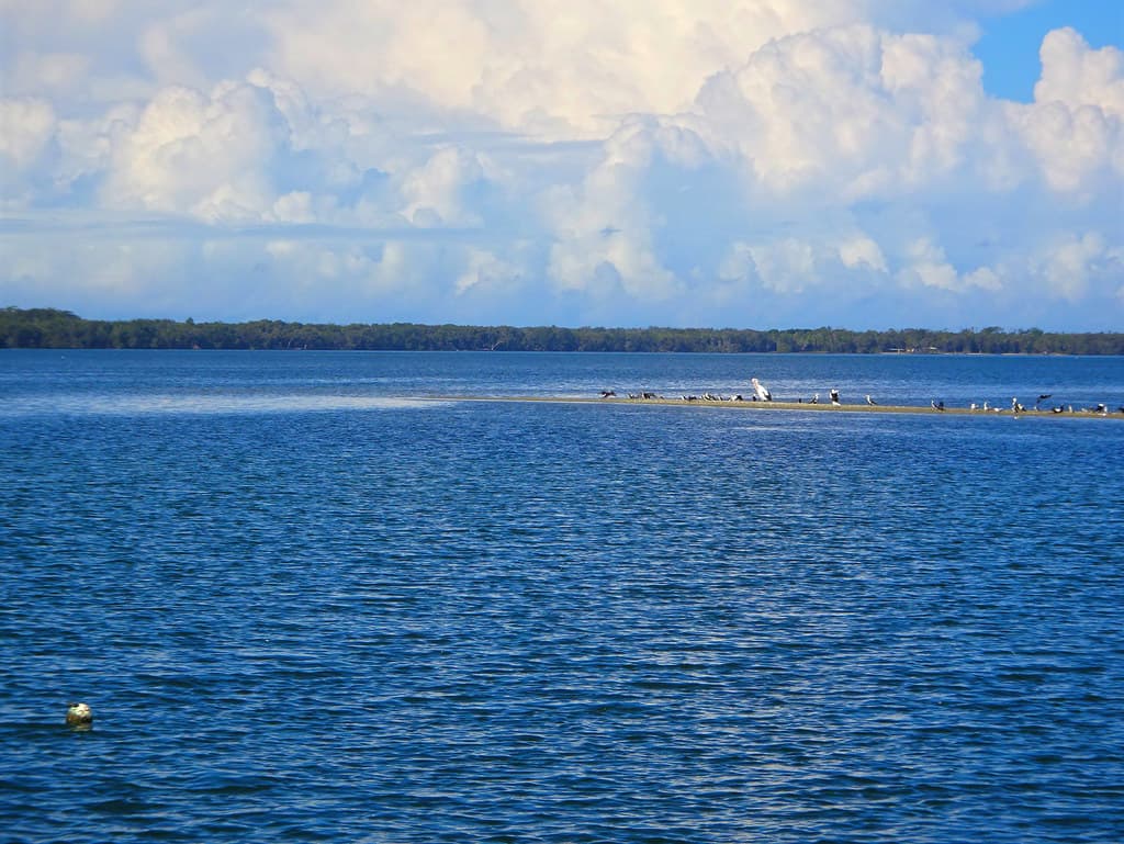 Lake Wallis NSW. Storms clouds Pelicans and Cormorants.