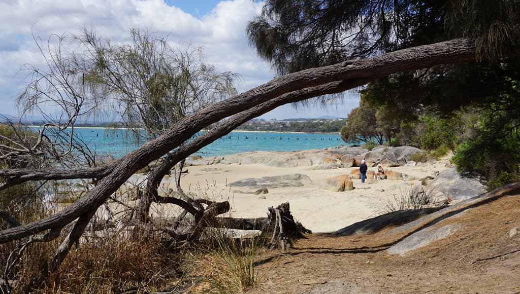 View back to Mermaid Beach past Pier Point to Anderson Bay