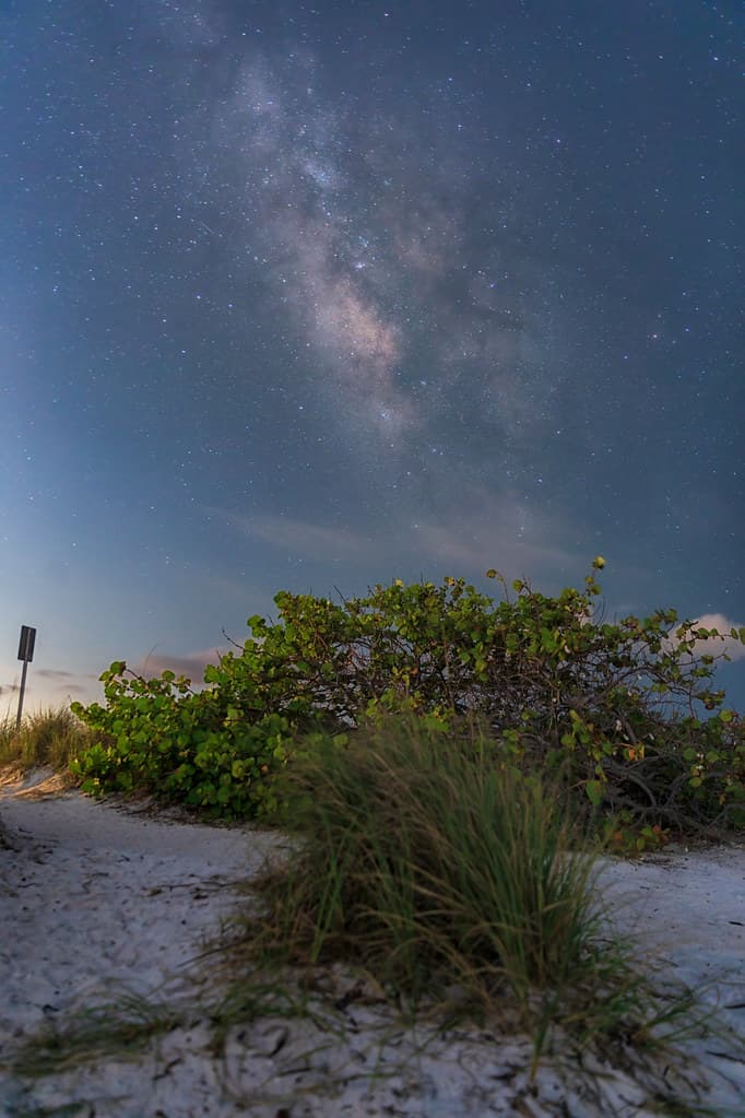 Milky Way Over the Mangrove